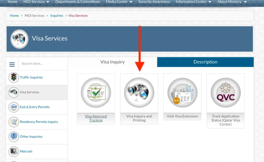 Step 4: Choose the Required Visa Service