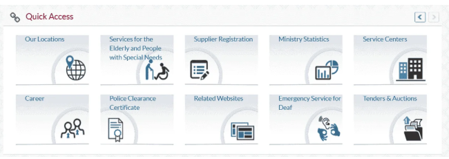 Step 2: Log In or Access Visa Services